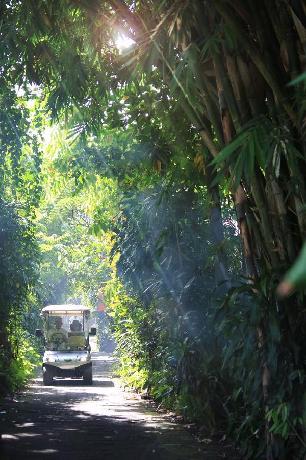 Artist Village By Pramana Watu Kurung Ubud Exterior foto